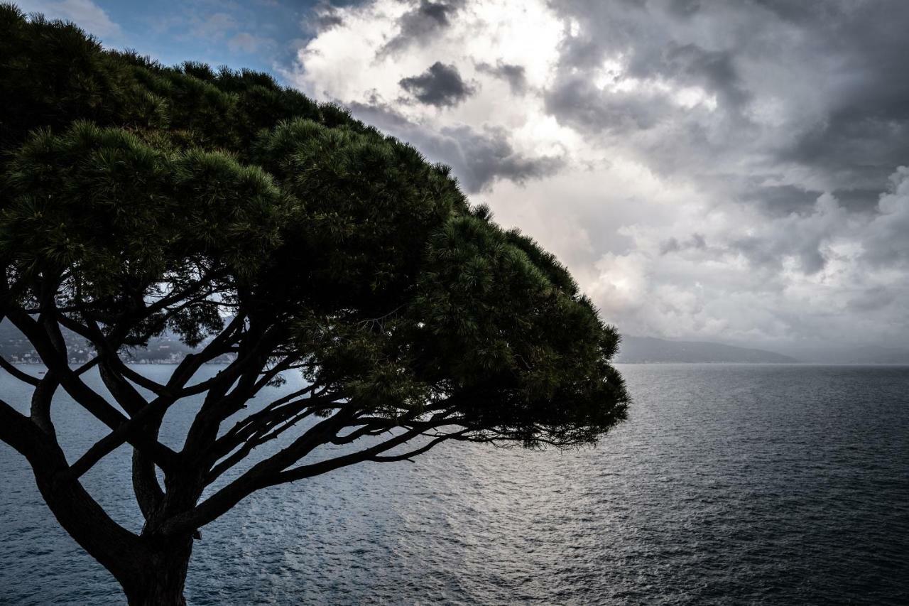 Hotel Blu Di Te Santa Margherita Ligure Exteriér fotografie